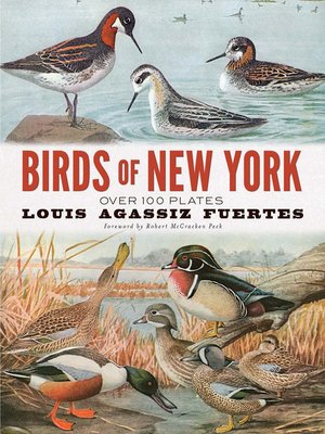 cover image of Birds of New York